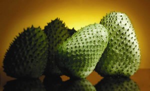 Glaviola Corossol bio médicament pour le cancer