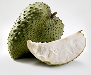 la graviola corossol bio